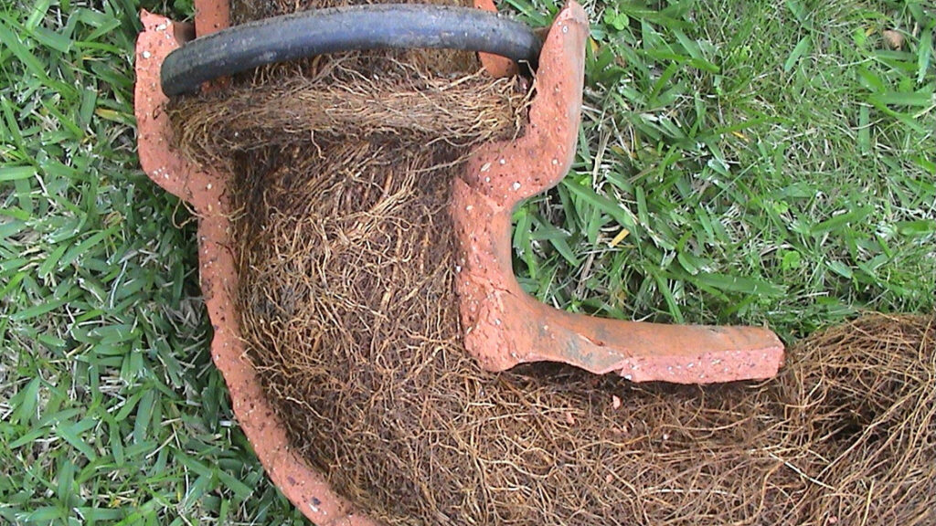 Root intrusion in Connecticut sewer line, clogged main line repair